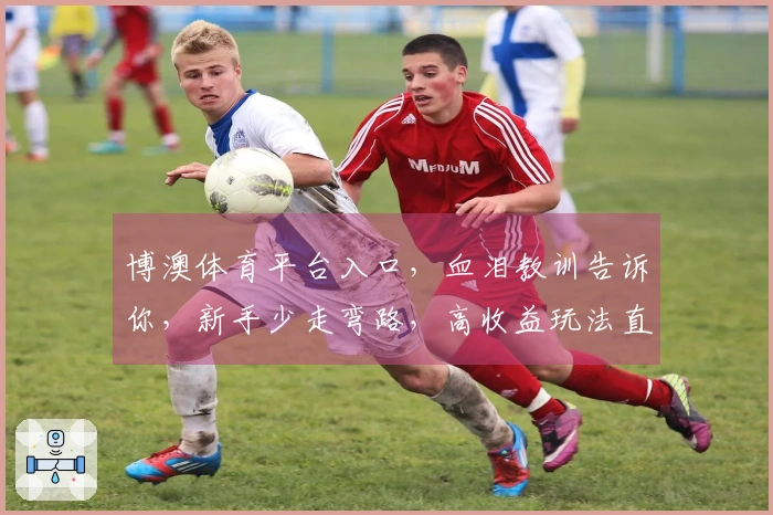 博澳体育平台入口，血泪教训告诉你，新手少走弯路，高收益玩法直达！