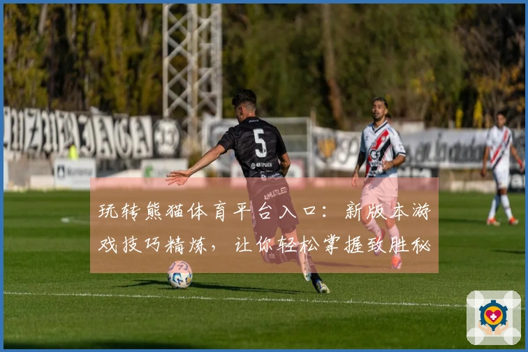 玩转熊猫体育平台入口：新版本游戏技巧精炼，让你轻松掌握致胜秘诀