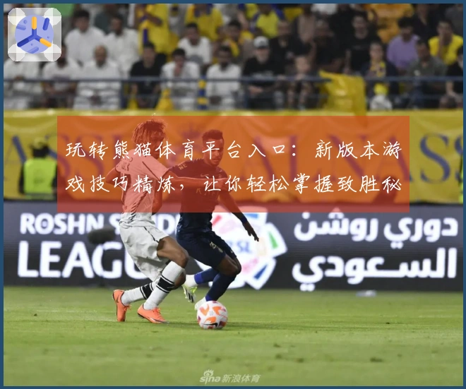 玩转熊猫体育平台入口：新版本游戏技巧精炼，让你轻松掌握致胜秘诀