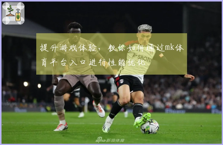 提升游戏体验，教你如何通过mk体育平台入口进行性能优化